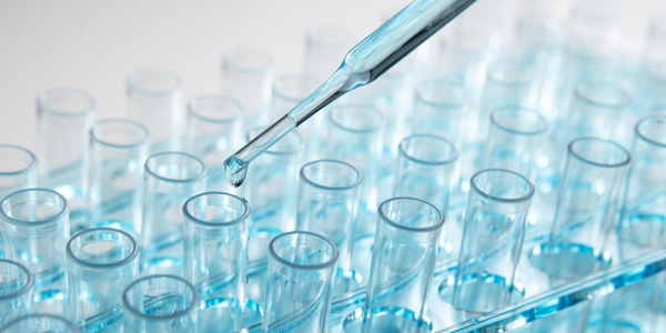 Chemical Process Catalysts