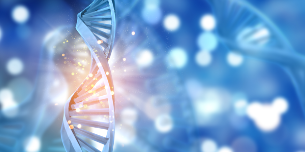 mRNA/DNA delivery Carrier