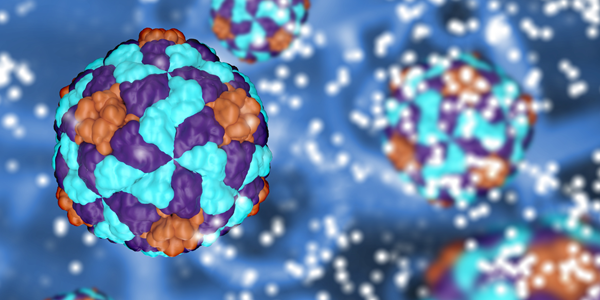 Novel Therapeutics for Refractory Diseases