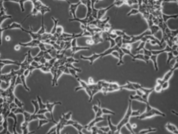 mRNA-based vaccine delivery